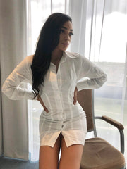 Elemental White Shirt Dress