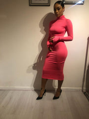 Body Glove dress