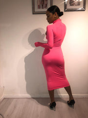 Body Glove dress