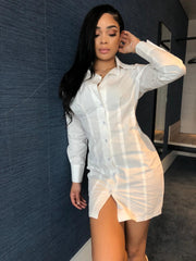 Elemental White Shirt Dress