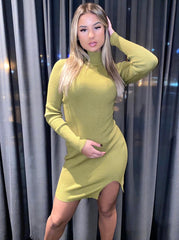 Marisa Ribbed High Neck Dress