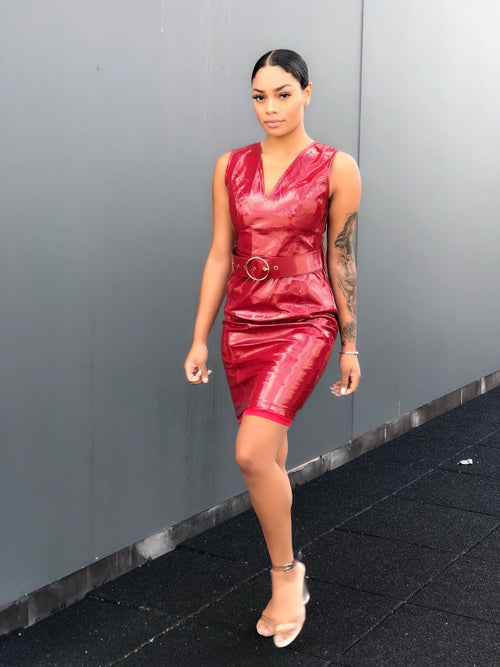 Jane doe vegan leather dress